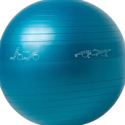 EVOKE Home Gym Gear^75 cm - Exercise Ball