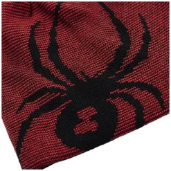 SPYDER Bug - Junior Reversible Beanie