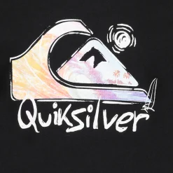 BOY QUIKSILVER Casual Wear^Core Photoreal - Toddlers Boys' T-Shirt