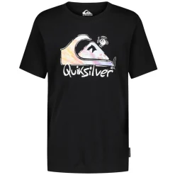 BOY QUIKSILVER Casual Wear^Core Photoreal - Toddlers Boys' T-Shirt