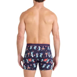 Online SAXX Daytripper - Men's Fitted Boxer Shorts TBQ