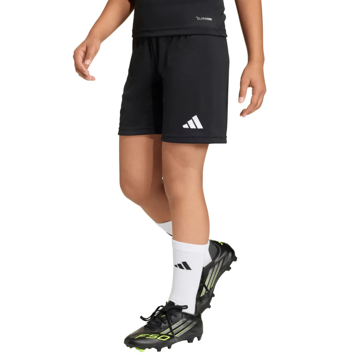 BOY ADIDAS Sportswear|Soccer^Entrada 26 - Junior Soccer Shorts