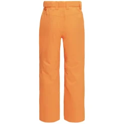 BOY QUIKSILVER Outerwear|Outerwear^Estate - Junior Insulated Pants
