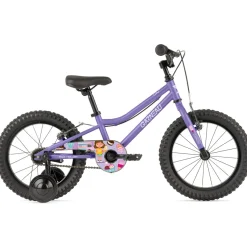 Hot GARNEAU FR-16 - Junior Bike