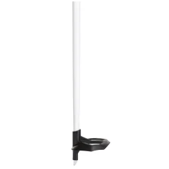 ROSSIGNOL Winter Sports^FT-600 Cork - Adult Cross-Country Ski Poles