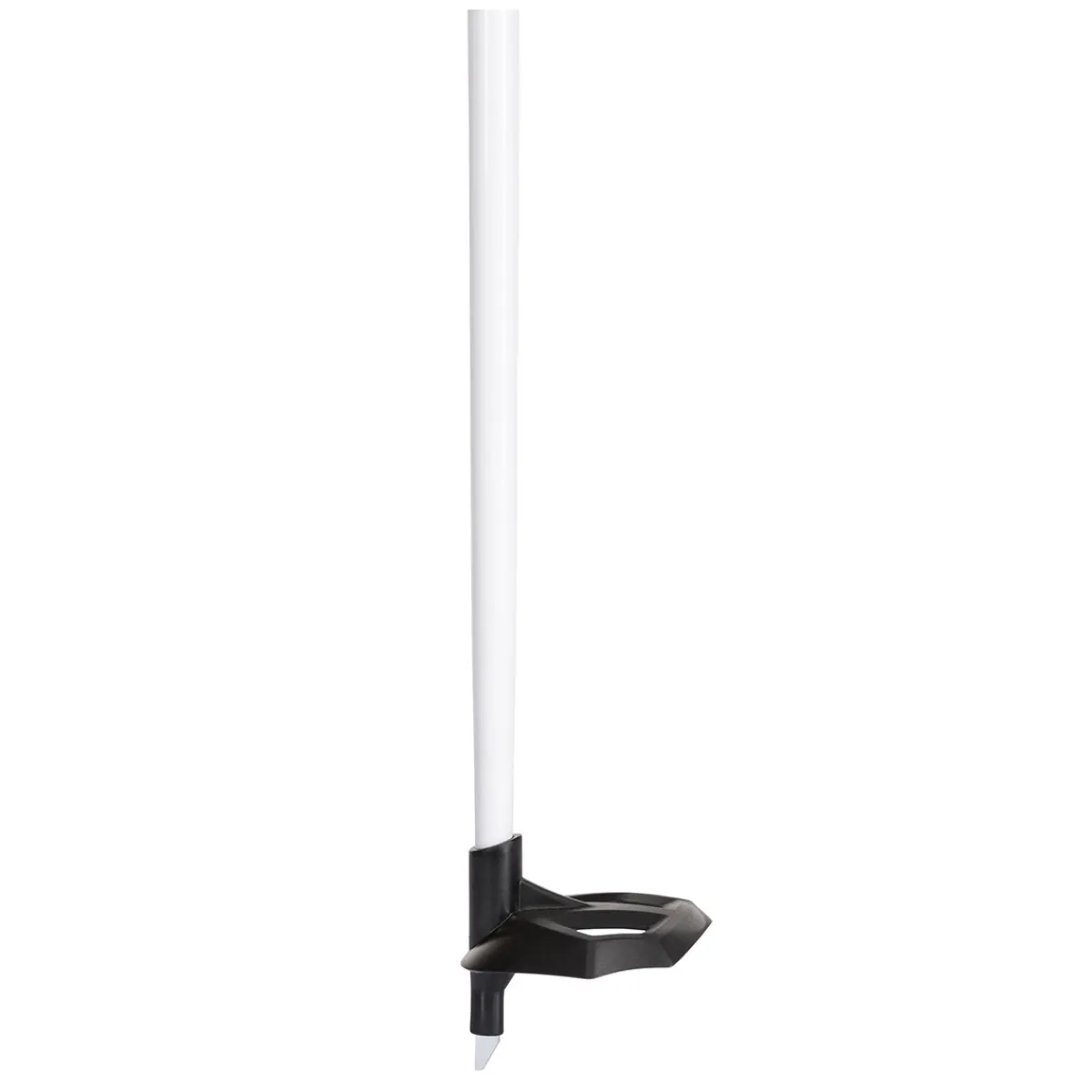 ROSSIGNOL Winter Sports^FT-600 Cork - Adult Cross-Country Ski Poles