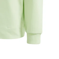 BOY ADIDAS Sportswear|Sportswear^Future Icons Logo - Junior Hoodie