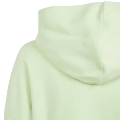 BOY ADIDAS Sportswear|Sportswear^Future Icons Logo - Junior Hoodie
