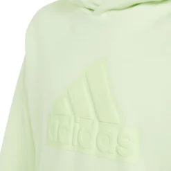 BOY ADIDAS Sportswear|Sportswear^Future Icons Logo - Junior Hoodie