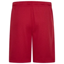 Sale JORDAN - Junior Basketball Shorts