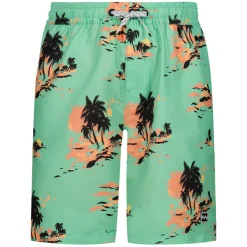 BOY BILLABONG Swimwear^Lineup Layback - Boys' Board Shorts