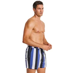 EVERYDAY SUNDAY Board Shorts^Nostalgic Coastal - Men's Board Shorts