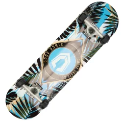 CAPIX Skateboards And Longboards^- Skateboard