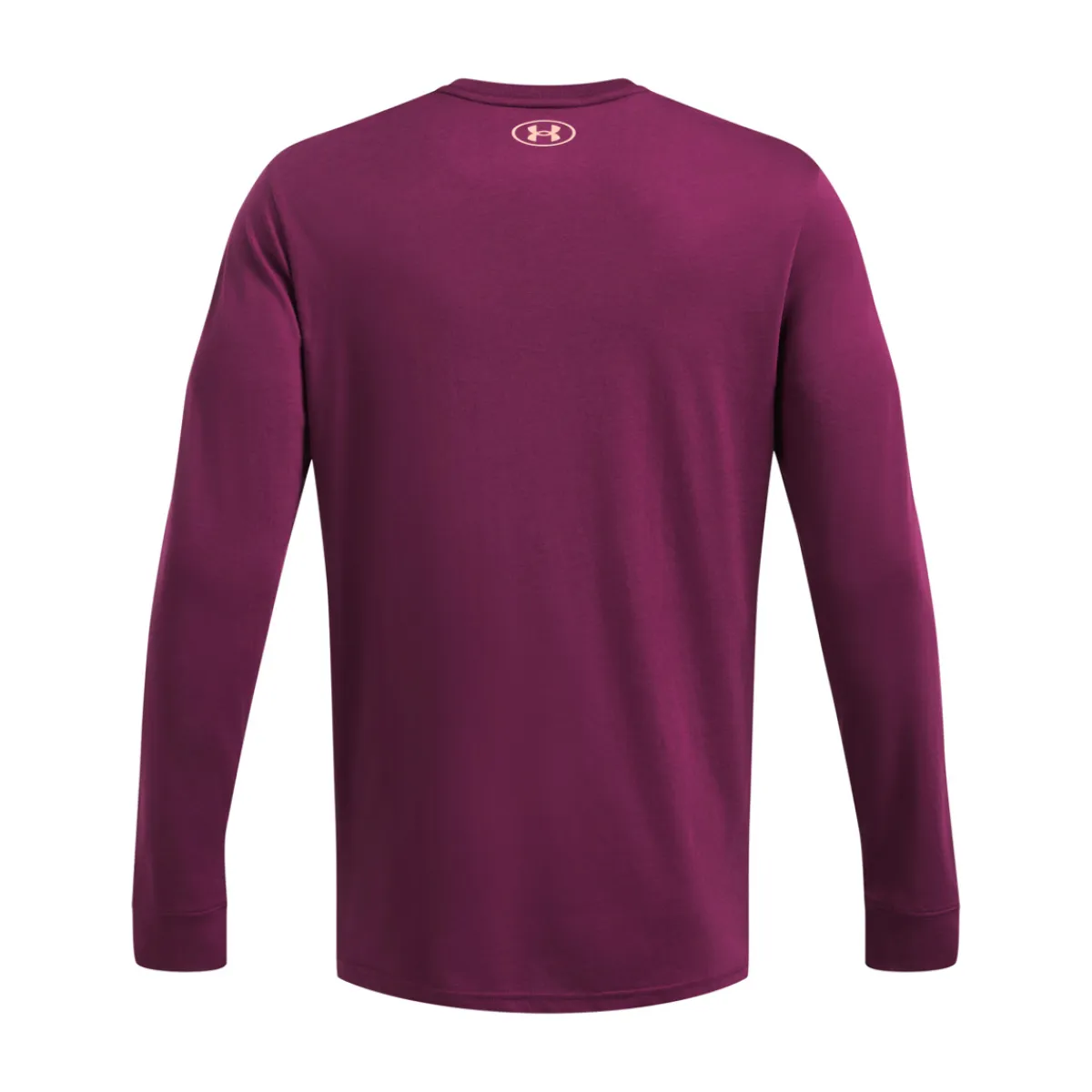 UNDER ARMOUR Long Sleeves And Sweaters|Long Sleeves And Sweaters^Project Rock Brahma Bull - Men's Long-Sleeved Shirt