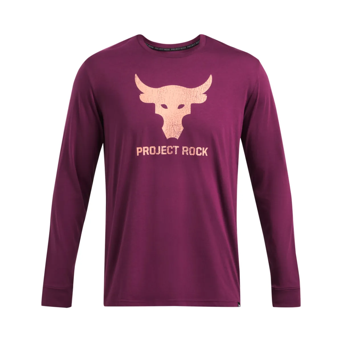 UNDER ARMOUR Long Sleeves And Sweaters|Long Sleeves And Sweaters^Project Rock Brahma Bull - Men's Long-Sleeved Shirt