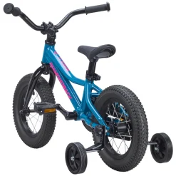 DIAMONDBACK Revolve 1.0 (12