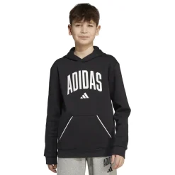 Online ADIDAS Seasonals Essentials - Junior Hoodie