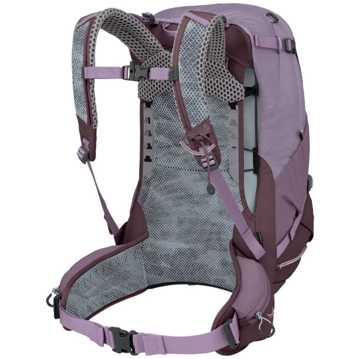 Best OSPREY Sirrus 34 - Women's Day Hiking Backpack
