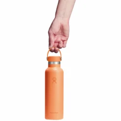 HYDRO FLASK Water Bottles^Standard Mouth Flex Cap 21 oz - Insulated Bottle