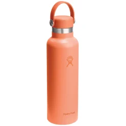 HYDRO FLASK Water Bottles^Standard Mouth Flex Cap 21 oz - Insulated Bottle