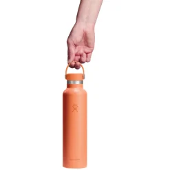 HYDRO FLASK Water Bottles^Standard Mouth Flex Cap 24 oz - Insulated Bottle