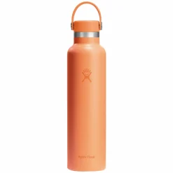 Clearance HYDRO FLASK Standard Mouth Flex Cap 24 oz - Insulated Bottle