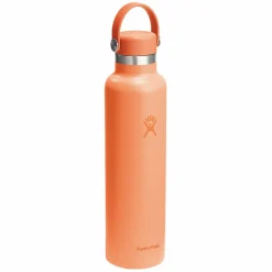 Clearance HYDRO FLASK Standard Mouth Flex Cap 24 oz - Insulated Bottle