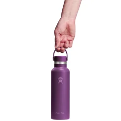 Sale HYDRO FLASK Standard Mouth Flex Cap 21 oz - Insulated Bottle