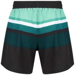 Best FINZ Stripes - Men's Board Shorts BS