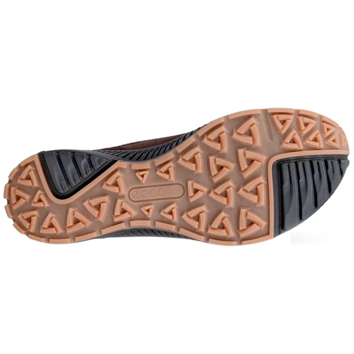 Discount ECCO Terracruise 2 GTX - Women's Walking Shoes 51502