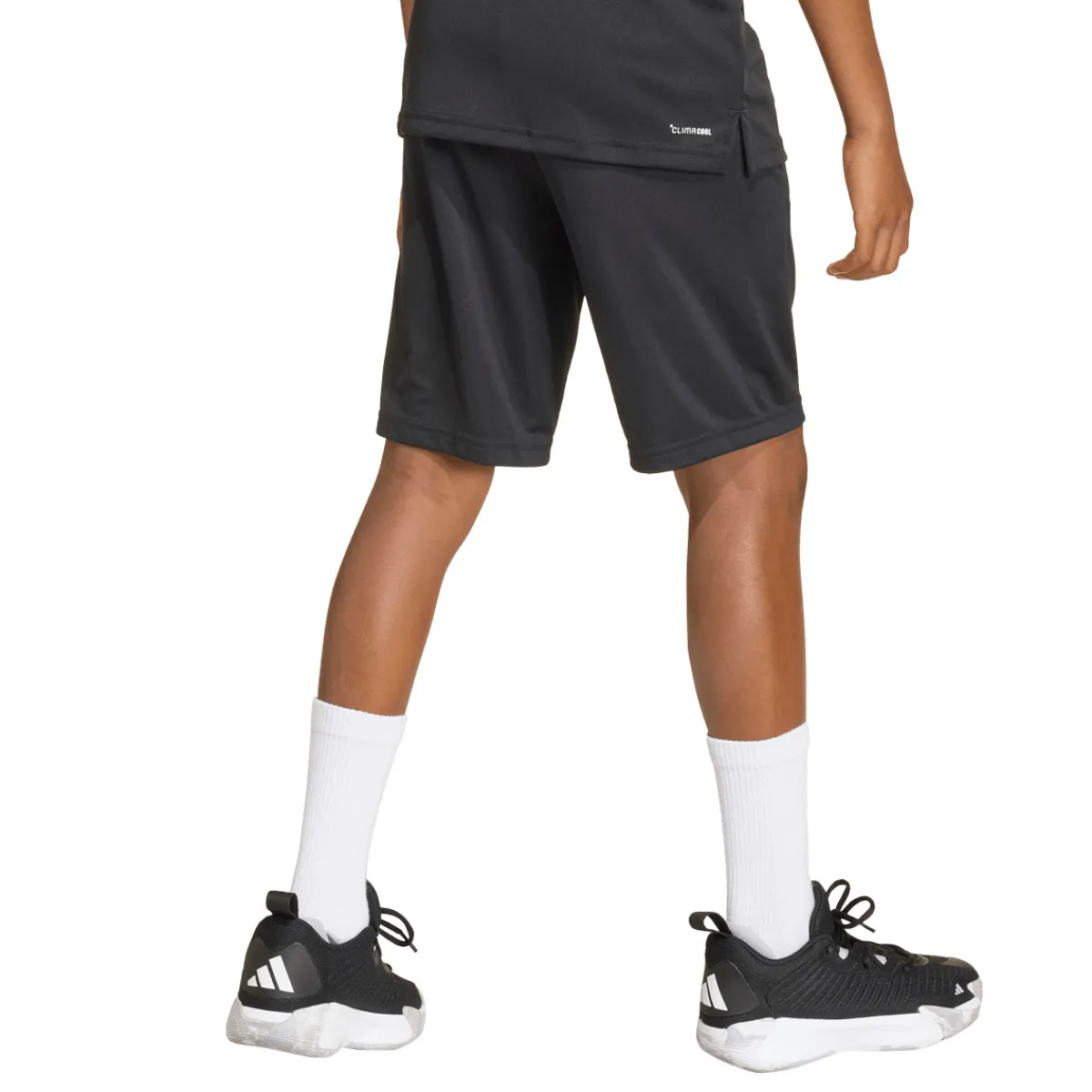 BOY ADIDAS Sportswear^Train Essentials - Junior Athletic Shorts