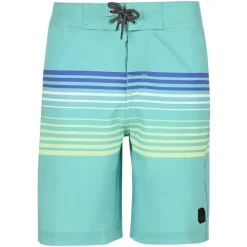 BOY NORTHCOAST Swimwear^Vacay Cali - Boys' Board Shorts
