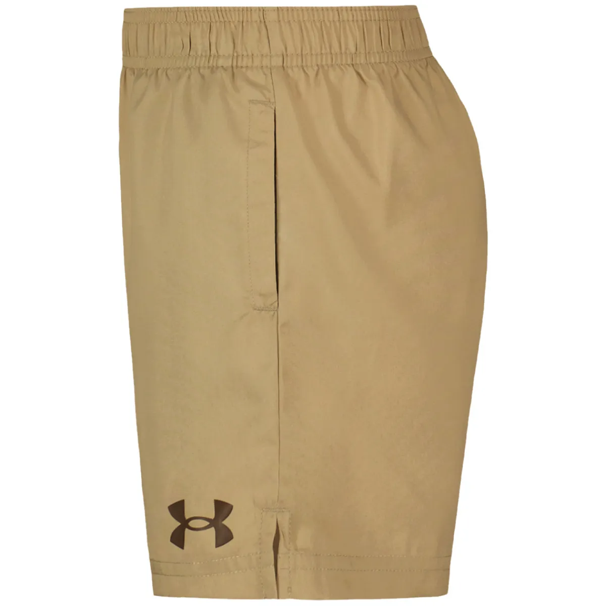 BOY UNDER ARMOUR KIDS Casual Wear^Woven Logo - Little Boys' Shorts